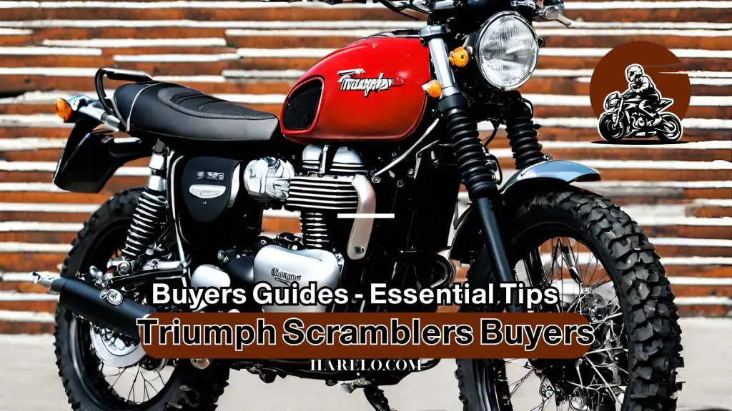 Triumph Scramblers Buyers Guides Essential Tips